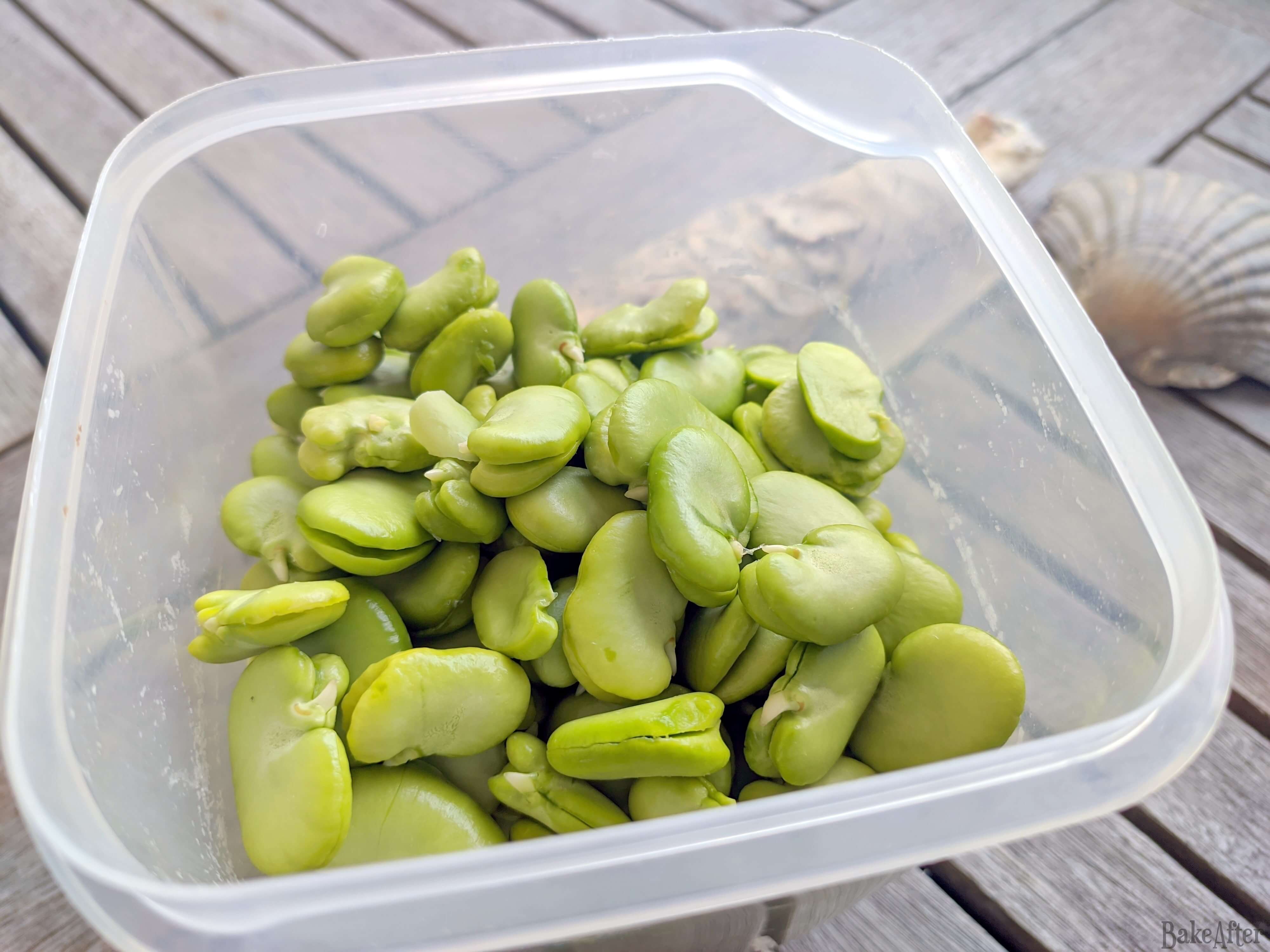 How to Cook Fava Beans or Broad Beans · Bake After Recipe