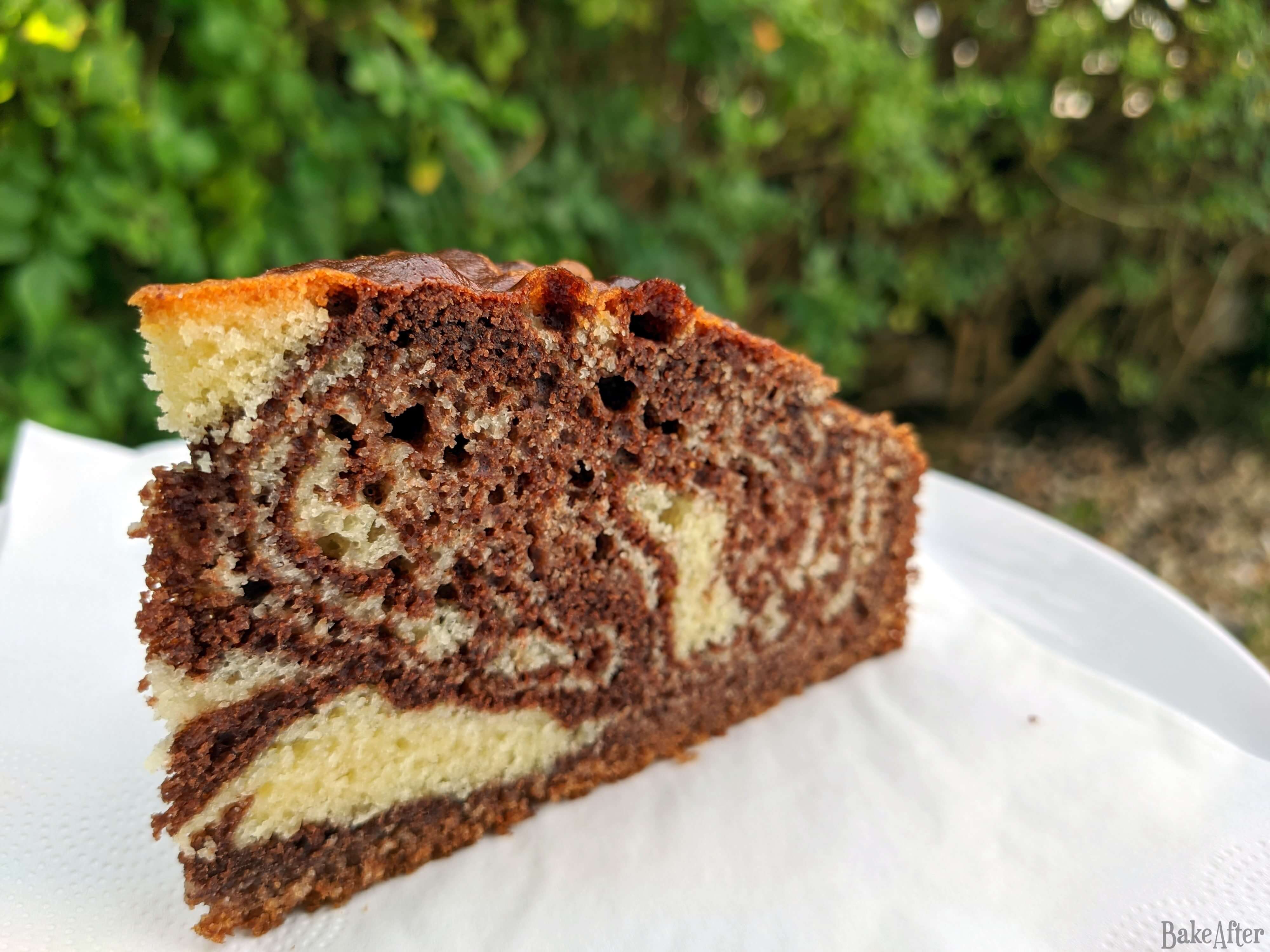 Zebra Chocolate and Vanilla Marble Cake · Bake After Recipe