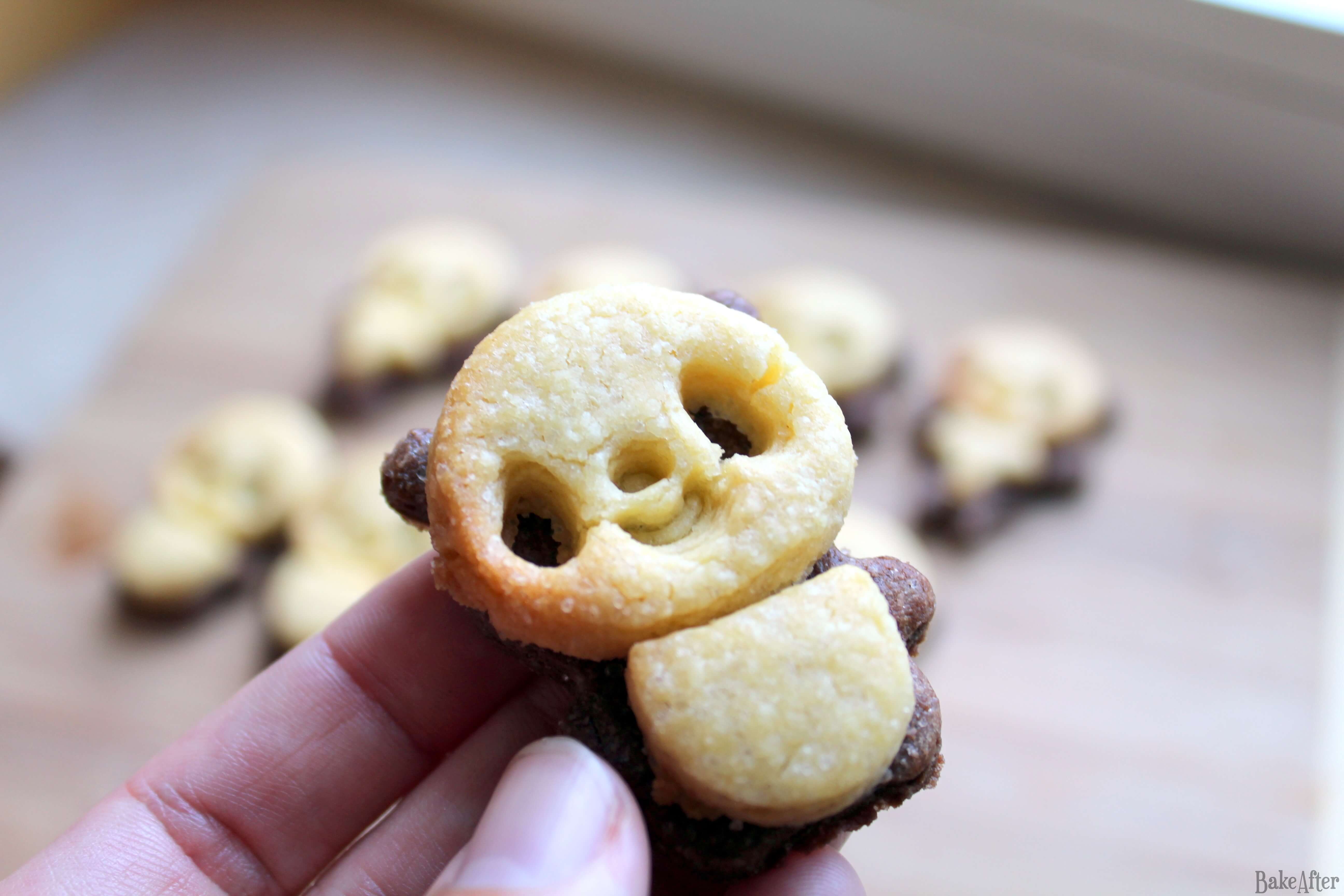Homemade Chocolate Panda Sugar Cookies · Bake After Recipe